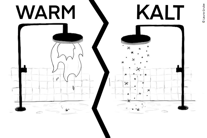 Eine Illustration von zwei Duschen. Über der linken Dusche steht "warm" und Flammen kommen aus dem Duschkopf. Über der rechten Dusche steht "kalt" und kleine Eiskristalle kommen aus dem Duschkopf.